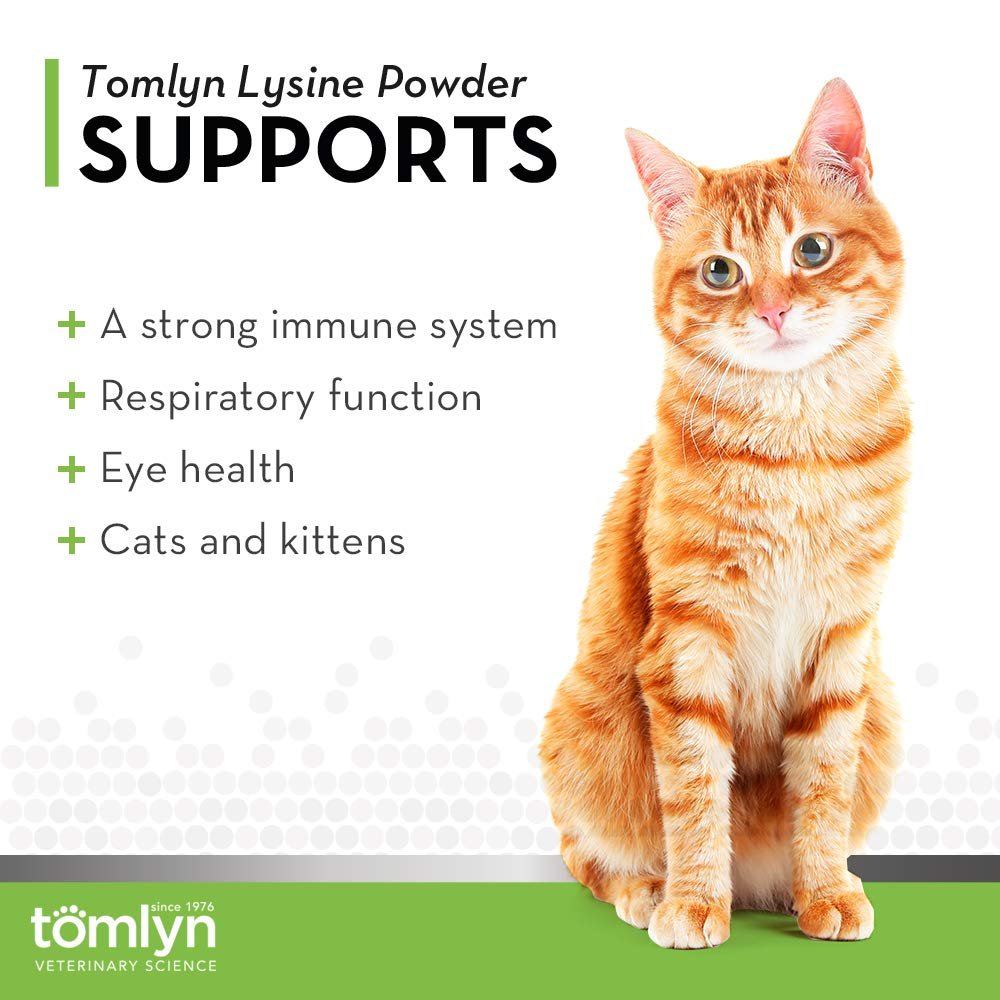 Tomlyn Immune Support Tägliches L-Lysin-Pulver für Katzen und Kätzchen, Fischgeschmack, 100 g (3,5 oz)