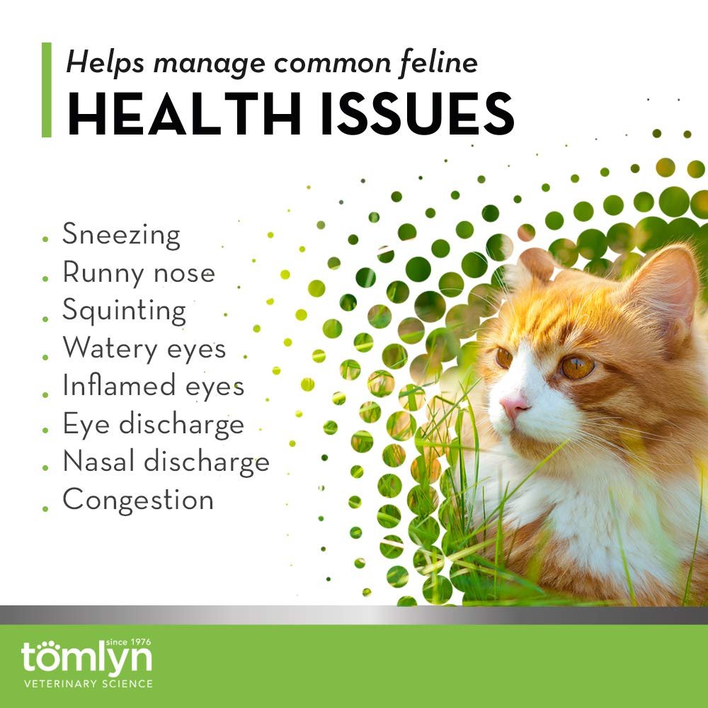 Tomlyn Immune Support Tägliches L-Lysin-Pulver für Katzen und Kätzchen, Fischgeschmack, 100 g (3,5 oz)