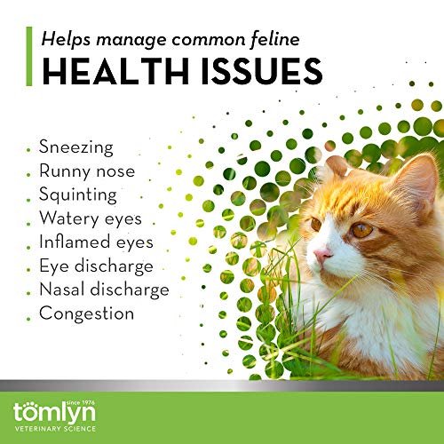 Tomlyn Immune Support Tägliches L-Lysin-Pulver für Katzen und Kätzchen, Fischgeschmack, 100 g (3,5 oz)