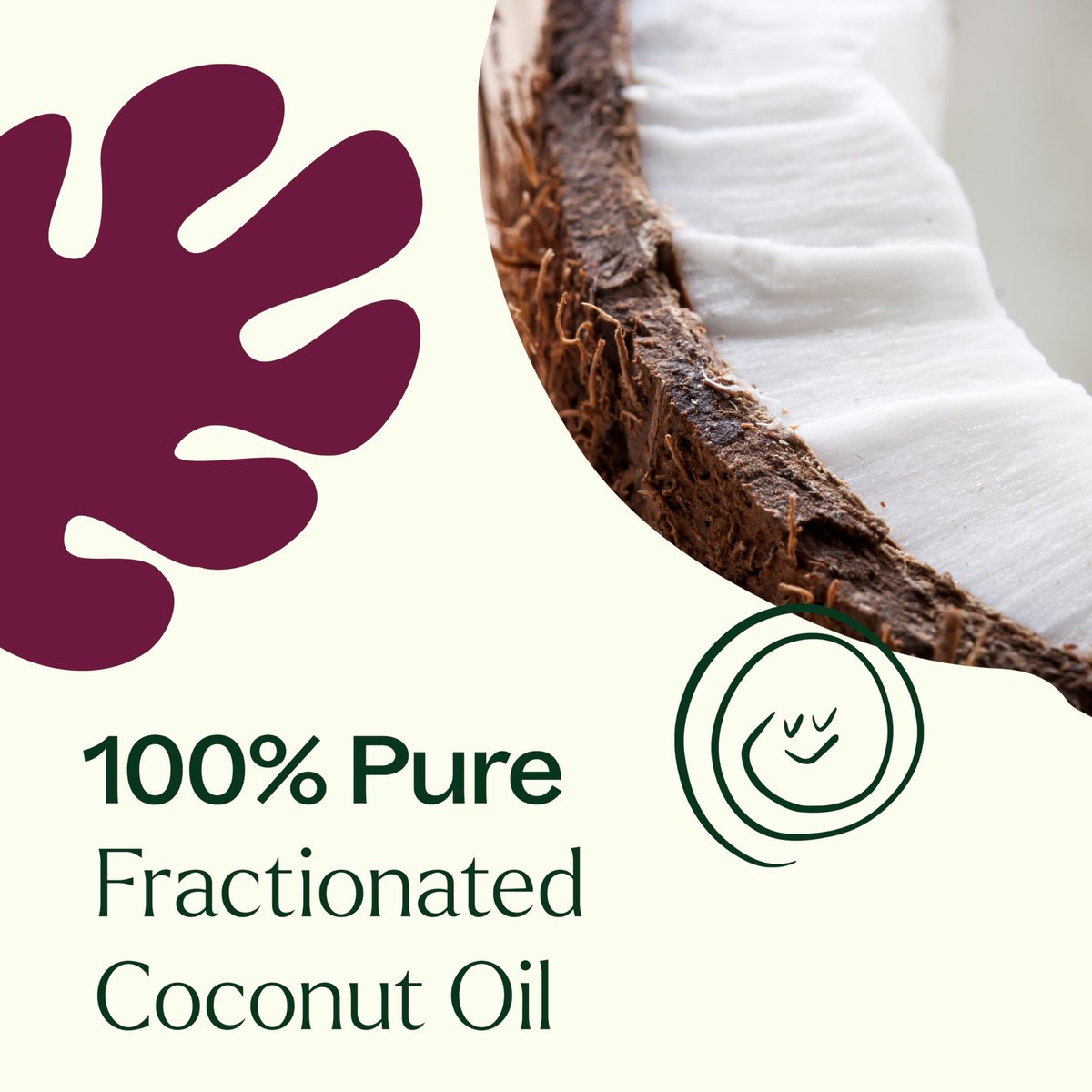 Plant Therapy Fraktioniertes Kokosöl für Haut, Haare, Körper, Verdünnung ätherischer Öle, 100% reiner, natürlicher Feuchtigkeitsspender, Massage- & Aromatherapie-Trägeröl, 118 ml