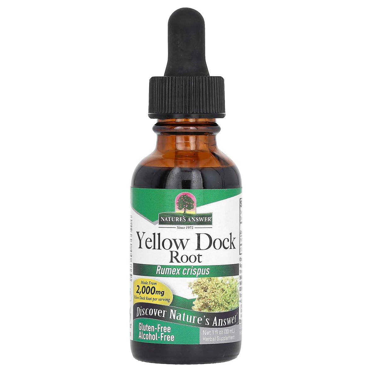 Nature's Answer Gelbwurzel (Yellow Dock) Wurzel Alkoholfrei 2000mg 30ml | Fördert Leberfunktion | Natürliche Körperentgiftung | Unterstützt Verdauung | Glutenfrei, Nicht-GVO, Vegan