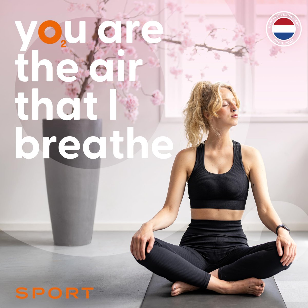 Airmax Unisex Sport Nasendilatator Doppelpack – Einfache, sichere und bequeme Atemhilfe – Verbessert den Luftstrom – Transparent – Medium
