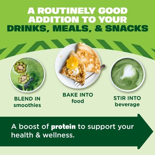 Manitoba Harvest Hemp Yeah Organic Max Fiber Protein Powder, Ungesüßt, 454g, mit 13g Ballaststoffen, 13g Protein und 2,5g Omega 3&6 pro Portion, Keto-freundlich, ohne Konservierungsstoffe