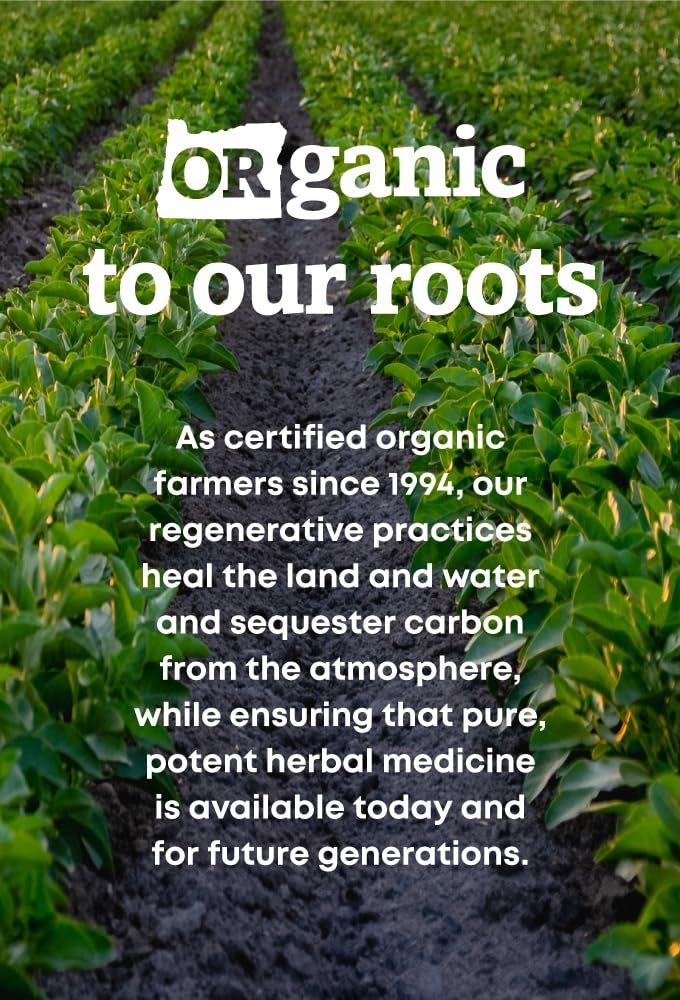 Oregon's Wild Harvest Kelp Bioaktives Nahrungsergänzungsmittel | Natürliche Jodquelle | Vegane Kapseln, 90 Stück