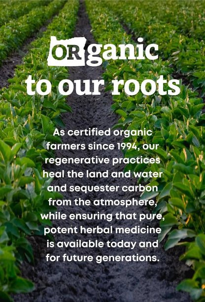 Oregon's Wild Harvest Kelp Bioaktives Nahrungsergänzungsmittel | Natürliche Jodquelle | Vegane Kapseln, 90 Stück