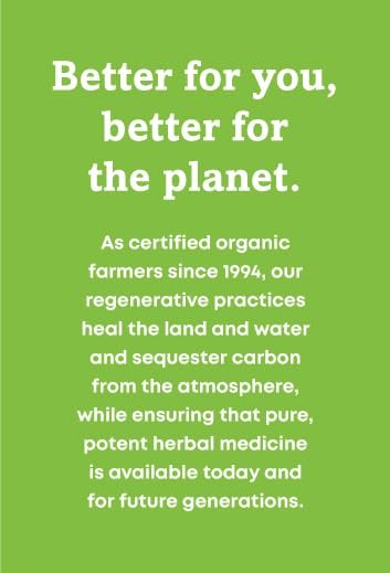 Oregon's Wild Harvest Kelp Bioaktives Nahrungsergänzungsmittel | Natürliche Jodquelle | Vegane Kapseln, 90 Stück