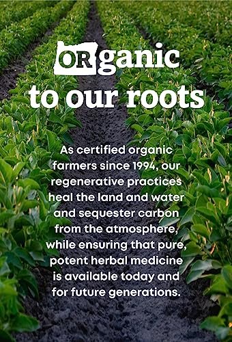 Oregon's Wild Harvest Kelp Bioaktives Nahrungsergänzungsmittel | Natürliche Jodquelle | Vegane Kapseln, 90 Stück