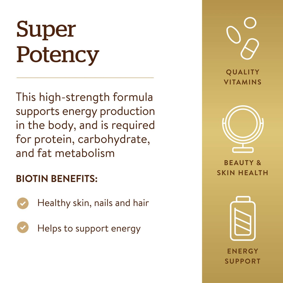 Solgar Biotin 5000 mcg – 100 Kapseln für gesunde Haut, Nägel und Haare – Fördert Energieproduktion und Stoffwechsel – Nicht-GVO, vegan, glutenfrei
