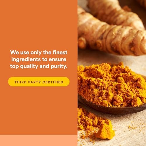 Natural Factors CurcuminRich Theracurmin 30 mg – Hoch bioverfügbares Kurkuma-Präparat, 30 Kapseln