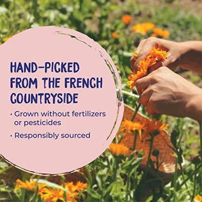 Boiron Calendula Gel – Linderung bei Hautausschlägen, Rasurbrand, Insektenstichen & Hautreizungen – Nicht fettend & parfümfrei – 2,6 Unzen