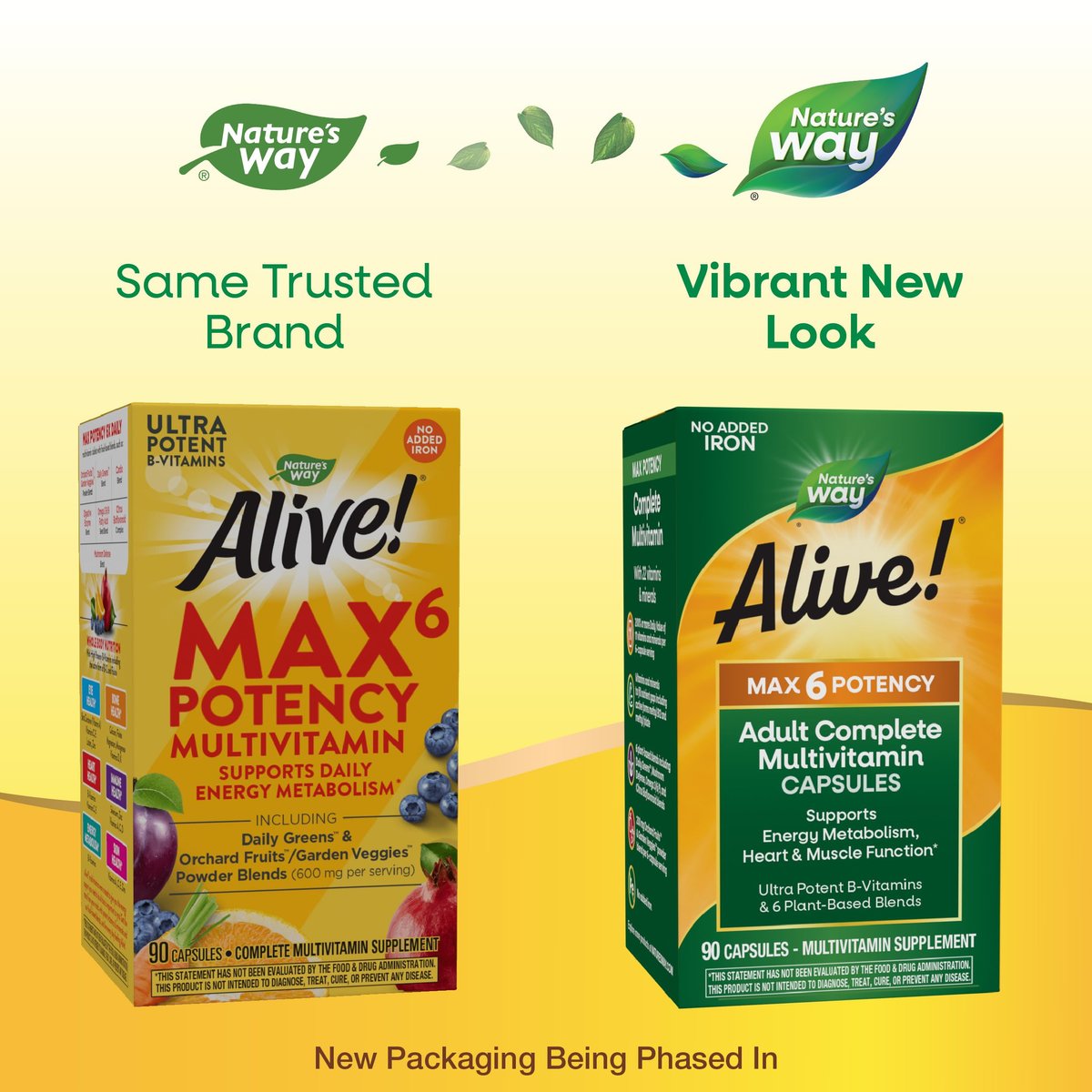 Nature's Way Alive! Max6 Potency Adult Complete Multivitamin – 90 Kapseln, ohne Eisen, mit Methyl-B12 & Folat