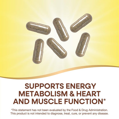 Nature's Way Alive! Max6 Potency Adult Complete Multivitamin – 90 Kapseln, ohne Eisen, mit Methyl-B12 & Folat