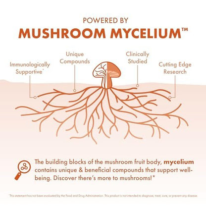 Host Defense Cordyceps Kapseln - Immun- und Energieunterstützung, Nierengesundheit, Fitness-Supplement zur Sauerstoffaufnahme - 30 Kapseln (15 Portionen)*