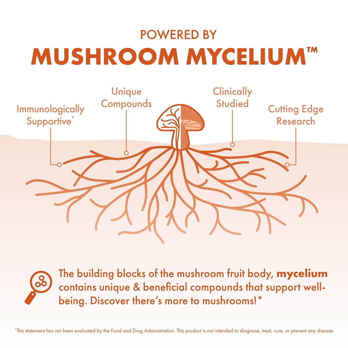 Host Defense Cordyceps Kapseln - Immun- und Energieunterstützung, Nierengesundheit, Fitness-Supplement zur Sauerstoffaufnahme - 30 Kapseln (15 Portionen)*
