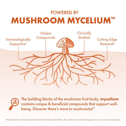 Host Defense Cordyceps Kapseln - Immun- und Energieunterstützung, Nierengesundheit, Fitness-Supplement zur Sauerstoffaufnahme - 30 Kapseln (15 Portionen)*