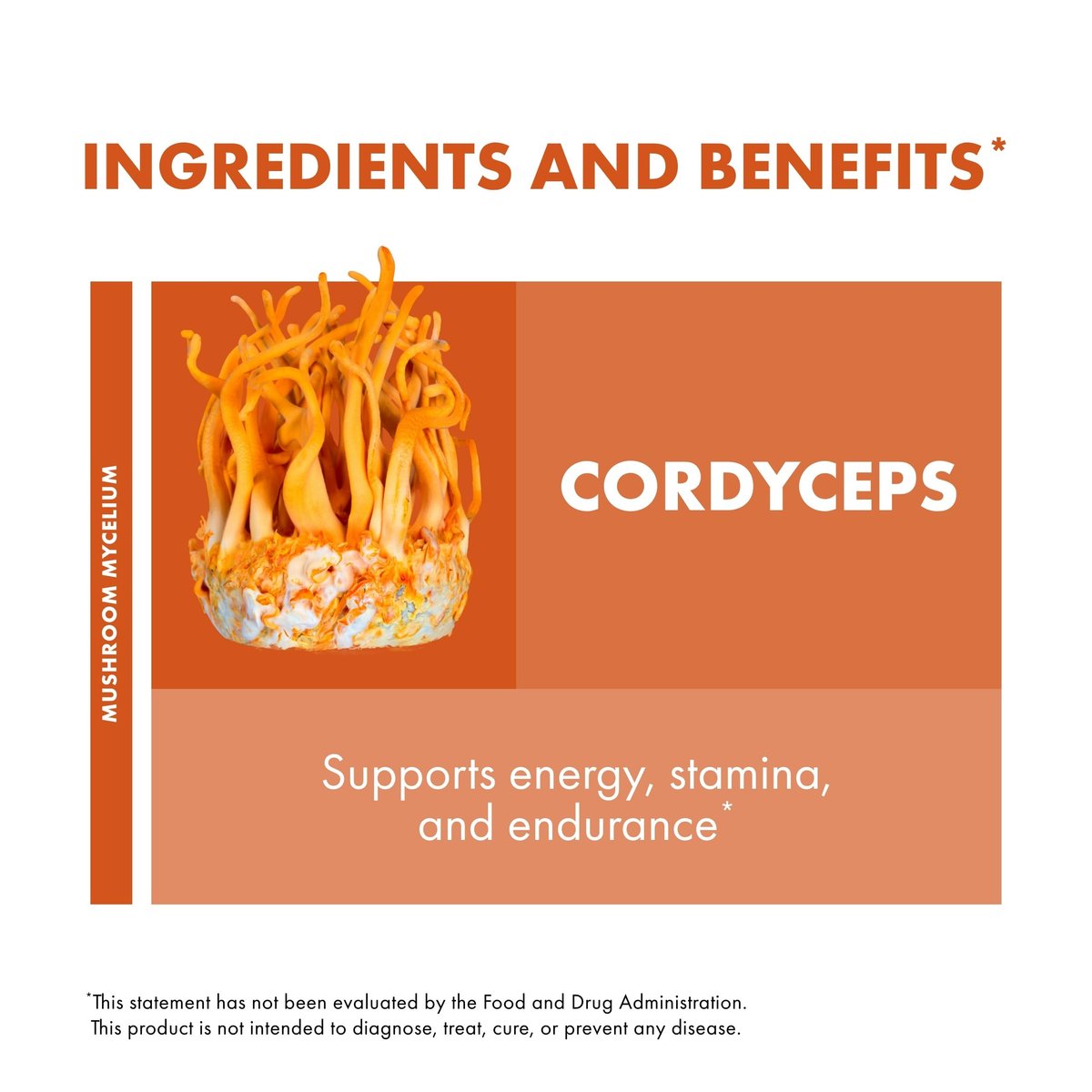 Host Defense Cordyceps Kapseln - Immun- und Energieunterstützung, Nierengesundheit, Fitness-Supplement zur Sauerstoffaufnahme - 30 Kapseln (15 Portionen)*