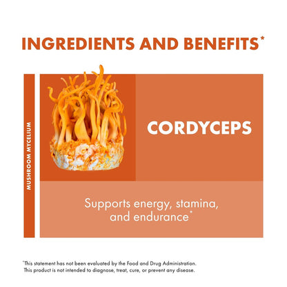 Host Defense Cordyceps Kapseln - Immun- und Energieunterstützung, Nierengesundheit, Fitness-Supplement zur Sauerstoffaufnahme - 30 Kapseln (15 Portionen)*
