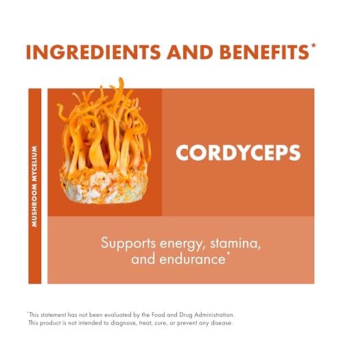 Host Defense Cordyceps Kapseln - Immun- und Energieunterstützung, Nierengesundheit, Fitness-Supplement zur Sauerstoffaufnahme - 30 Kapseln (15 Portionen)*
