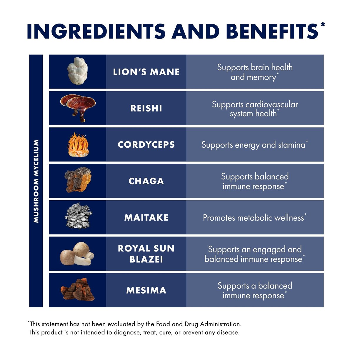 Host Defense Stamets 7 – 7 Pilzsorten Mischung – Immununterstützung mit Royal Sun Blazei, Cordyceps, Reishi, Maitake, Löwenmähne, Chaga & Mesima – 30 Kapseln (15 Portionen)