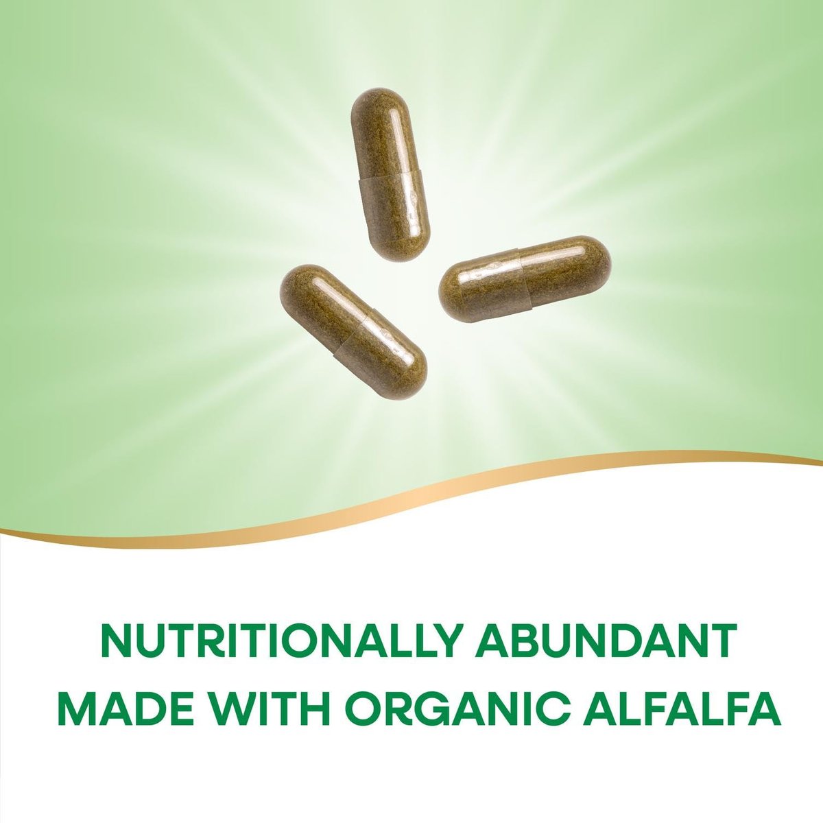 Nature's Way Premium Formula Bio-Alfalfa Jungpflanze, 1.215 mg pro Portion, 100 Kapseln