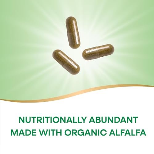 Nature's Way Premium Formula Bio-Alfalfa Jungpflanze, 1.215 mg pro Portion, 100 Kapseln