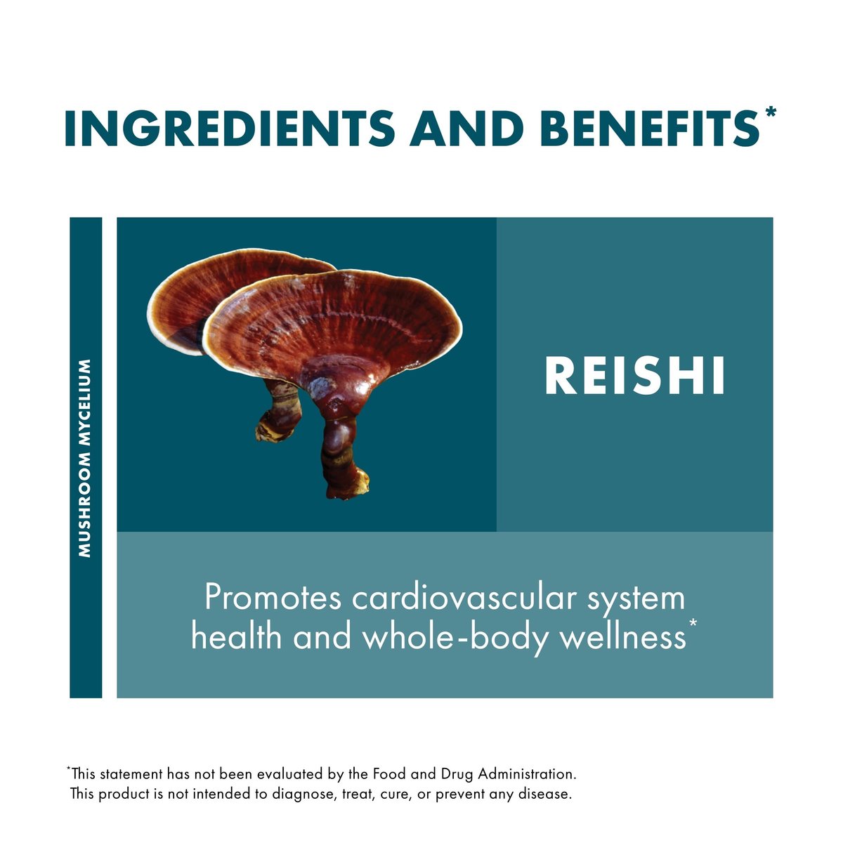Host Defense Reishi Kapseln – Herz- und Immununterstützung, Vitalität und Wohlbefinden – 30 Kapseln (15 Portionen)