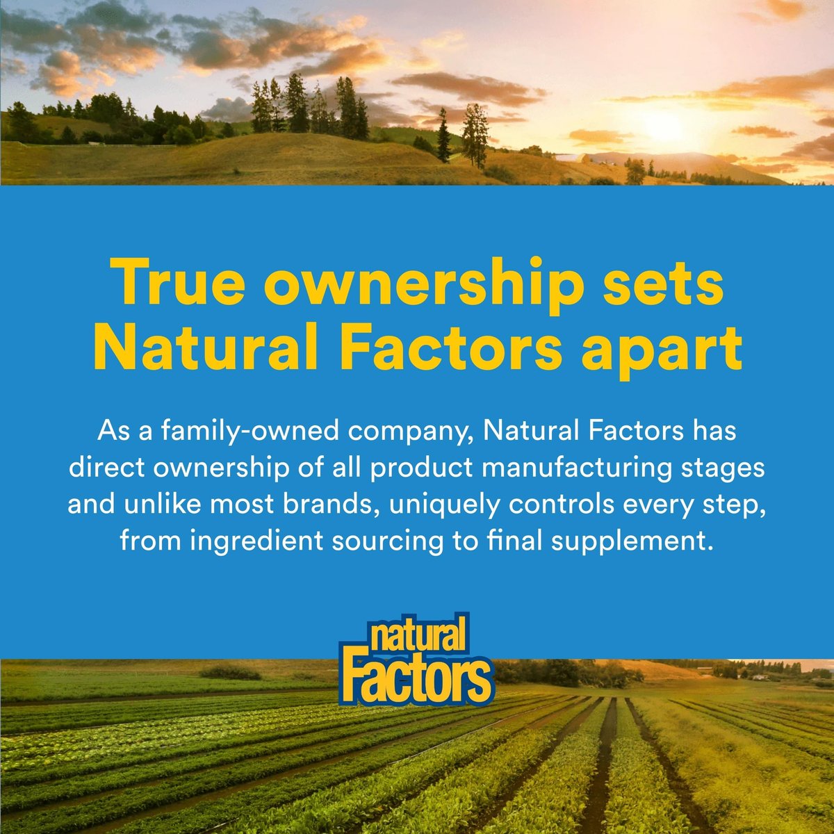 Natural Factors, Mikronisiertes L-Glutamin Getränkepulver 5000 mg, Unterstützt Muskeln und Immunfunktion, 283 g