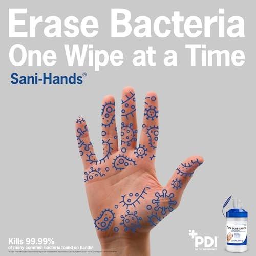 Sani-Hands Händedesinfektionstücher, 100 Packungen pro Box