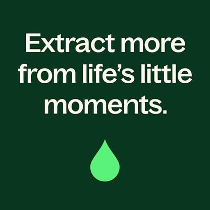 Plant Therapy Pfefferminzöl Roll-On, 10 ml – Ätherisches Öl für erfrischende Kühlung, Spannungsabbau und Stimmungsaufhellung