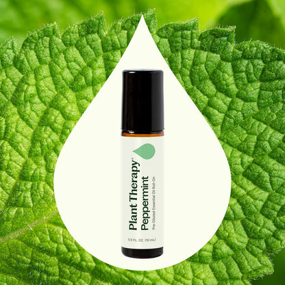 Plant Therapy Pfefferminzöl Roll-On, 10 ml – Ätherisches Öl für erfrischende Kühlung, Spannungsabbau und Stimmungsaufhellung