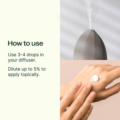 Plant Therapy Pfefferminzöl Roll-On, 10 ml – Ätherisches Öl für erfrischende Kühlung, Spannungsabbau und Stimmungsaufhellung