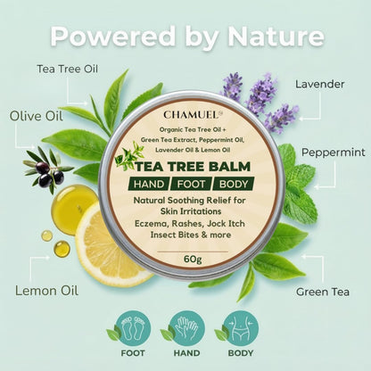 Chamuel Teebaumöl-Balsam – Natürliche Linderung bei Juckreiz, Hautausschlag, Fußpilz & Insektenstichen – Für empfindliche Haut – 60 g