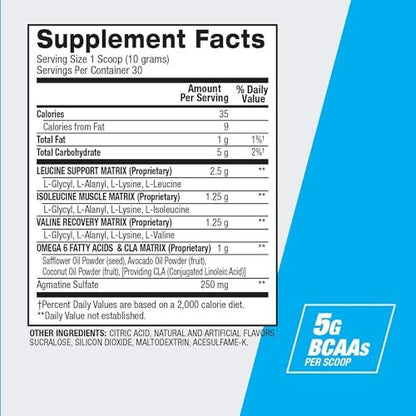 BPI Sports Best BCAA Pulver – Muskelregeneration & Erholung – Verzweigtkettige Aminosäuren (BCAAs) – Proteinbausteine für den Muskelaufbau – Post-Workout – Hydration – Fruchtpunsch, 30 Portionen