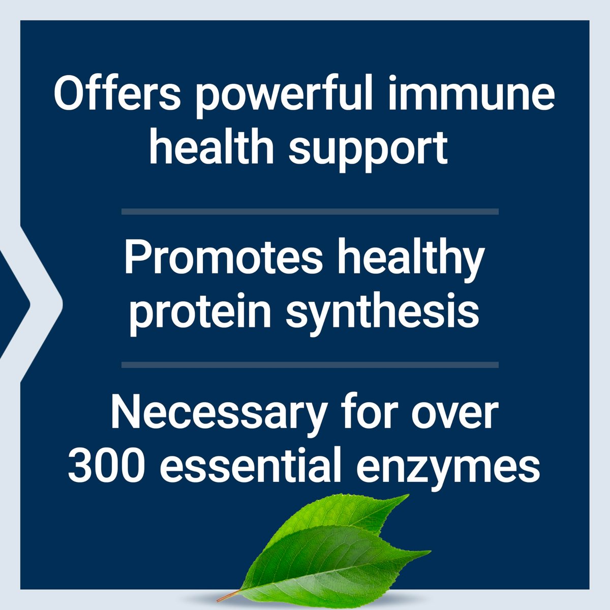 Life Extension Zink-Lutschtabletten – Zitrus-Orange-Geschmack – Für gesunde Proteinsynthese & Immununterstützung – Nahrungsergänzungsmittel zur Entzündungshemmung – Glutenfrei, Nicht-GVO – 60 vegetarische Lutschtabletten