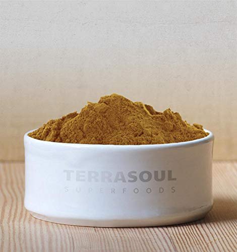 Terrasoul Superfoods Bio Reishi Pilz Pulver (4:1 Extrakt), 5,5 Unzen – Immununterstützung, Stressabbau, Besserer Schlaf