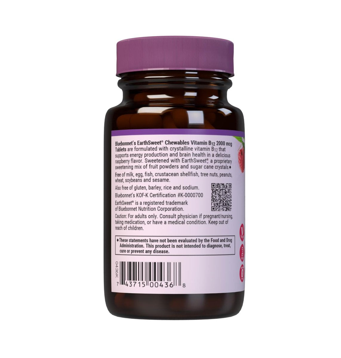 BlueBonnet Earth Sweet Vitamin B12 1000 mcg & Folsäure 400 mcg – Gehirngesundheit & Energievitamine für Frauen & Männer – Vegan, glutenfrei, Himbeer-Geschmack – 90 Kautabletten