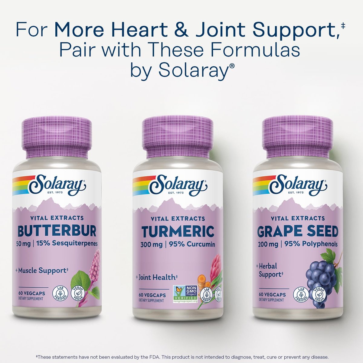 SOLARAY Kurkuma 300 mg - Extrakt mit 95% Curcumin - Gelenkunterstützung für Beweglichkeit und Wohlbefinden - Vegan, Glutenfrei, 60-Tage-Garantie, 60 Portionen