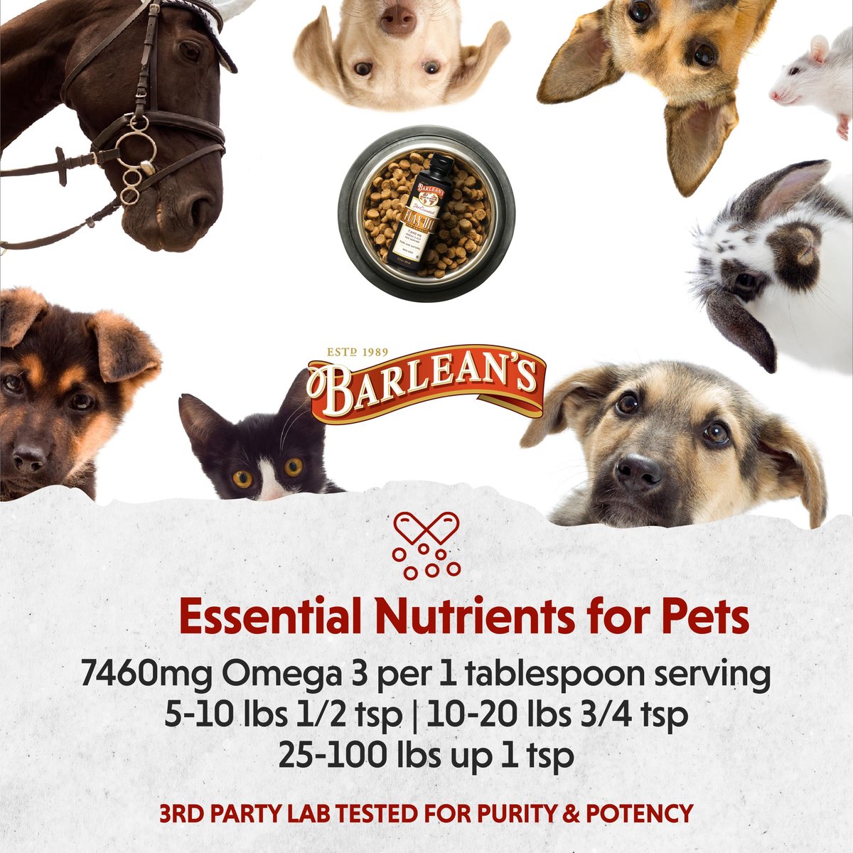 Barlean's Leinöl für Tiere – flüssige Omega-3-Fettsäuren für Hunde, Katzen und Haustiere, 12 oz