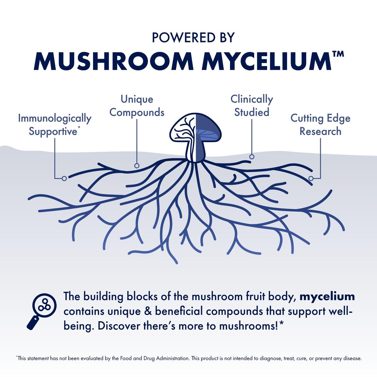Host Defense MyCommunity Kapseln - 17 Pilzsorten Mischung zur Immununterstützung - Pflanzliches Nahrungsergänzungsmittel mit Löwenmähne, Reishi, Chaga, Cordyceps, Truthahnschwanz & mehr - 30 Kapseln (15 Portionen)