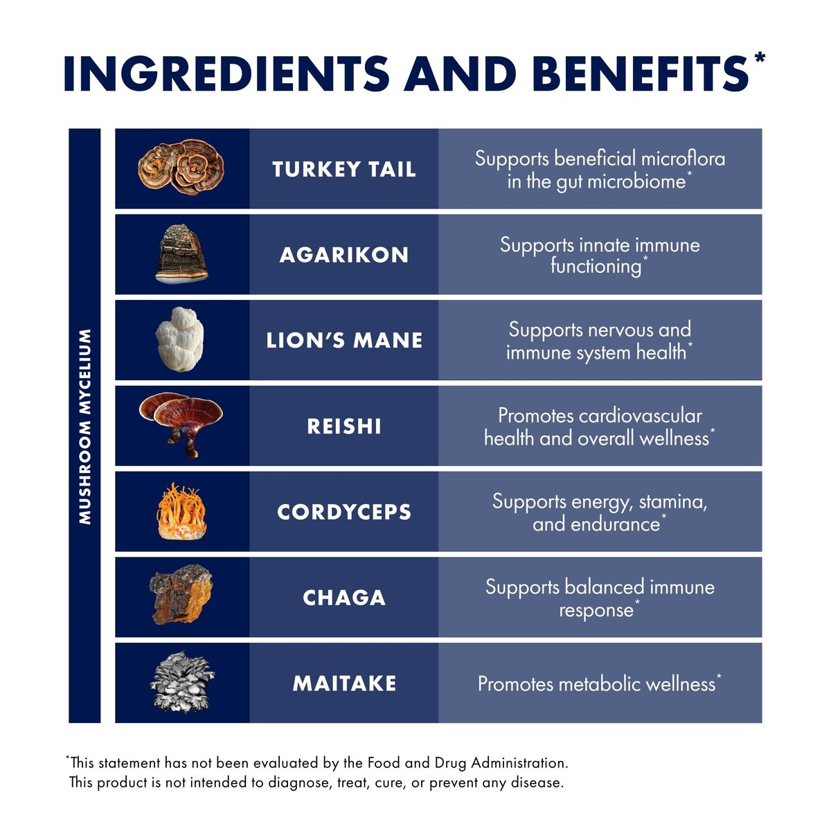 Host Defense MyCommunity Kapseln - 17 Pilzsorten Mischung zur Immununterstützung - Pflanzliches Nahrungsergänzungsmittel mit Löwenmähne, Reishi, Chaga, Cordyceps, Truthahnschwanz & mehr - 30 Kapseln (15 Portionen)