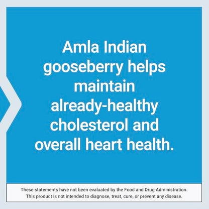 Life Extension Advanced Lipid Control – Amla-Extrakt, Indische Stachelbeere, Herzgesundheit, Endothelgesundheit, Vegetarisch, Glutenfrei, 60 Kapseln