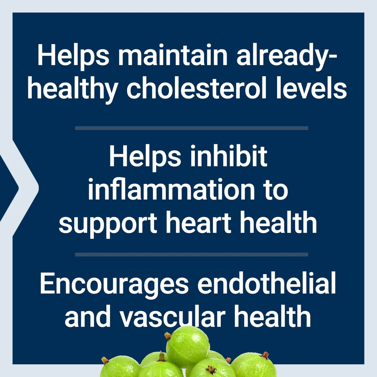 Life Extension Advanced Lipid Control – Amla-Extrakt, Indische Stachelbeere, Herzgesundheit, Endothelgesundheit, Vegetarisch, Glutenfrei, 60 Kapseln