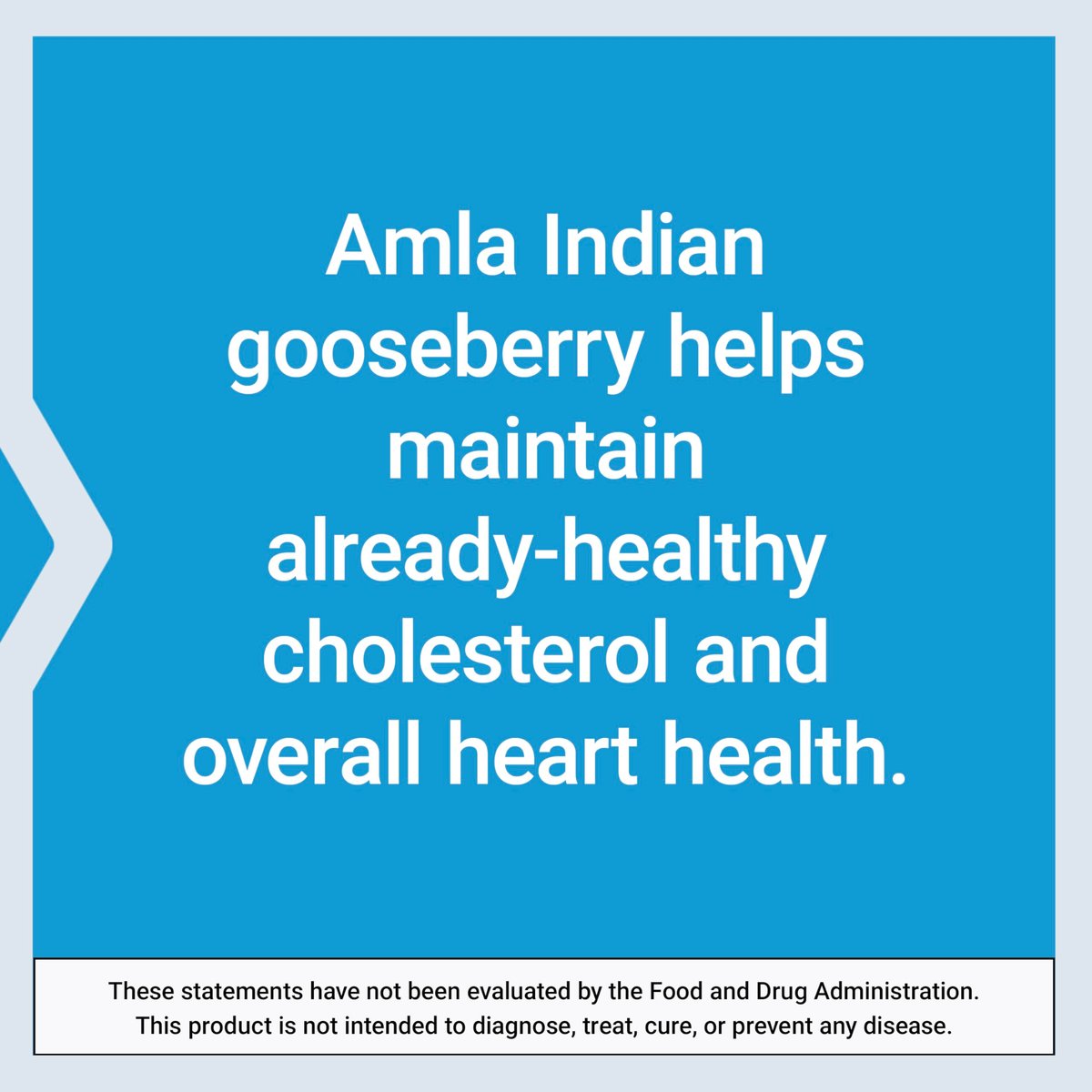 Life Extension Advanced Lipid Control – Amla-Extrakt, Indische Stachelbeere, Herzgesundheit, Endothelgesundheit, Vegetarisch, Glutenfrei, 60 Kapseln