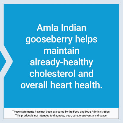 Life Extension Advanced Lipid Control – Amla-Extrakt, Indische Stachelbeere, Herzgesundheit, Endothelgesundheit, Vegetarisch, Glutenfrei, 60 Kapseln