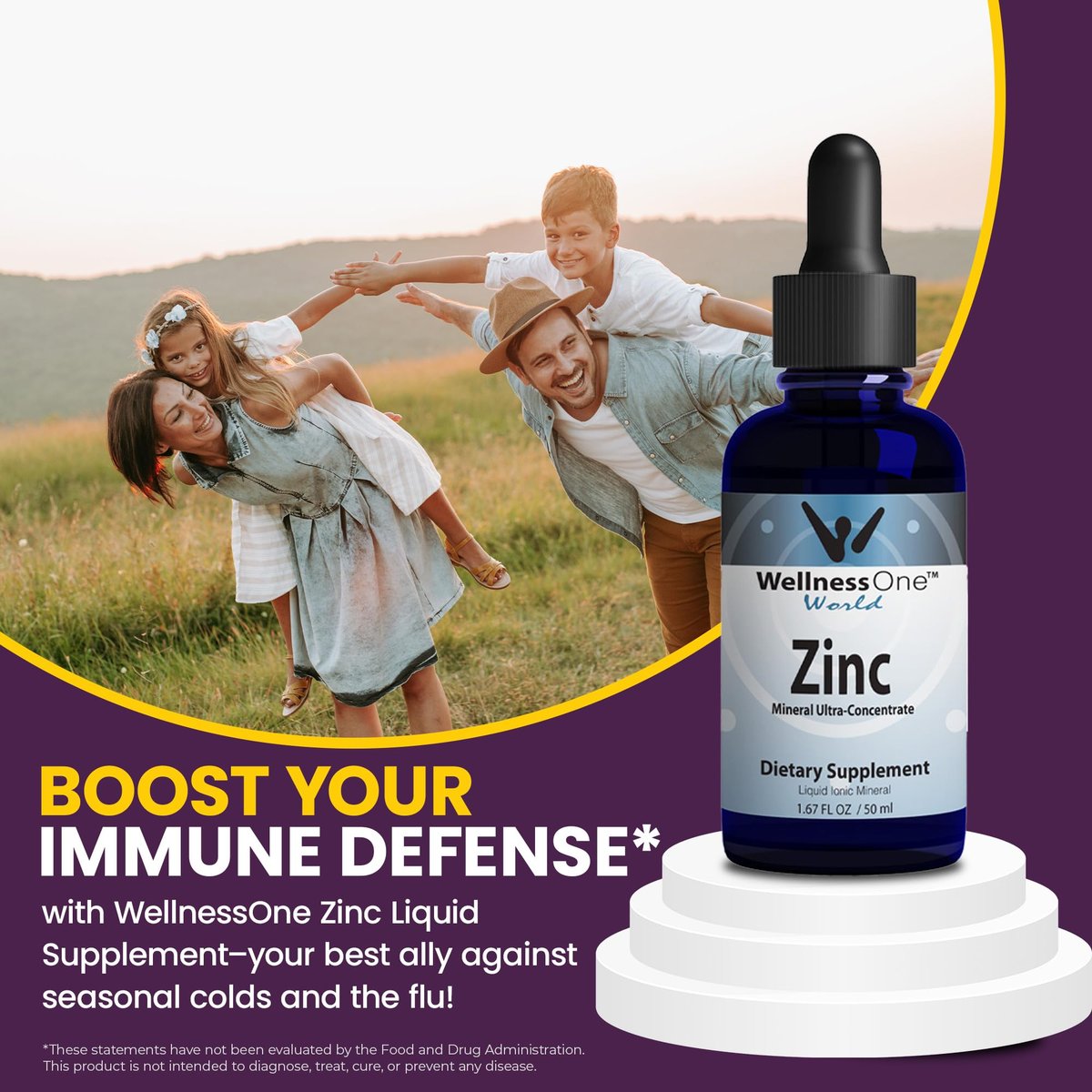 WellnessOne Ionische Flüssig-Zinktropfen zur Immununterstützung – Hoch absorbierbares Zinkpräparat für Kinder & Erwachsene – USA-getestet, vegan, nicht-GVO, glutenfrei, 1,67 fl oz