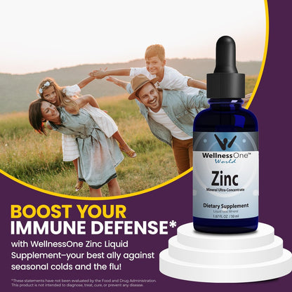 WellnessOne Ionische Flüssig-Zinktropfen zur Immununterstützung – Hoch absorbierbares Zinkpräparat für Kinder & Erwachsene – USA-getestet, vegan, nicht-GVO, glutenfrei, 1,67 fl oz