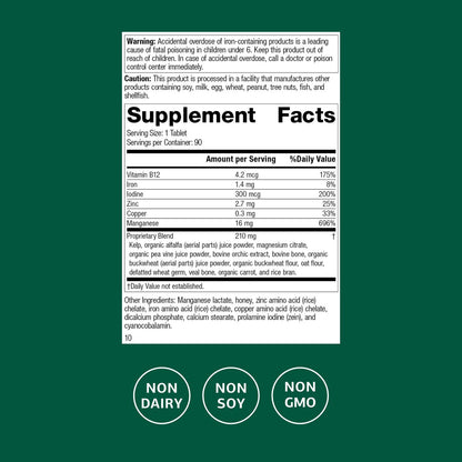 Standard Process Trace Minerals-B12 – Schilddrüsen- und Zellfunktionsunterstützung mit Jod, Zink und Kupfer – Knorpel- und Knochengesundheit – 90 Tabletten