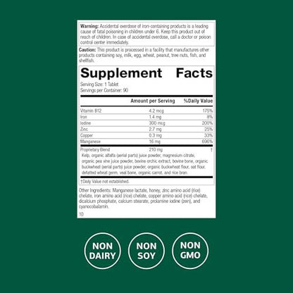 Standard Process Trace Minerals-B12 – Schilddrüsen- und Zellfunktionsunterstützung mit Jod, Zink und Kupfer – Knorpel- und Knochengesundheit – 90 Tabletten