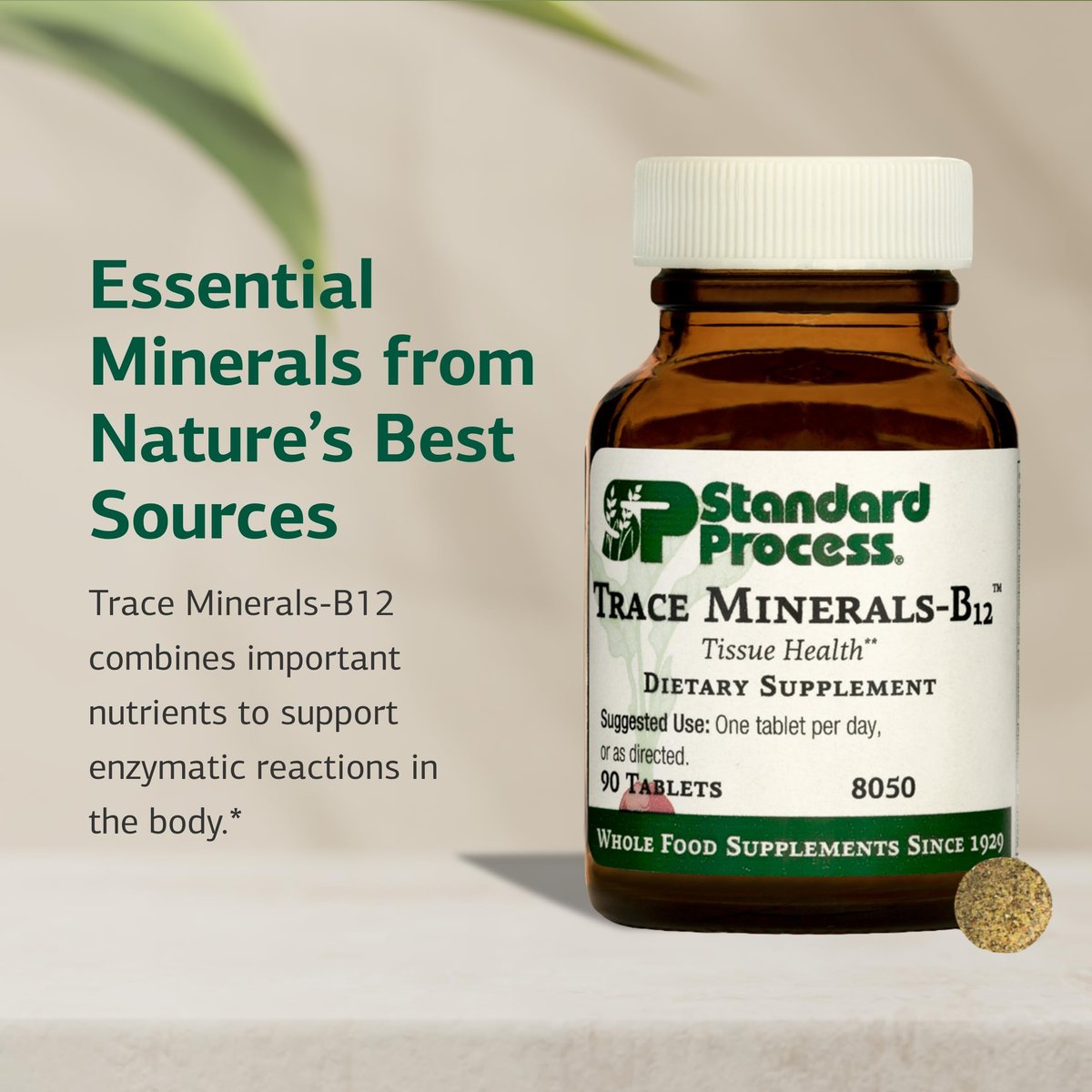 Standard Process Trace Minerals-B12 – Schilddrüsen- und Zellfunktionsunterstützung mit Jod, Zink und Kupfer – Knorpel- und Knochengesundheit – 90 Tabletten