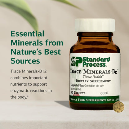 Standard Process Trace Minerals-B12 – Schilddrüsen- und Zellfunktionsunterstützung mit Jod, Zink und Kupfer – Knorpel- und Knochengesundheit – 90 Tabletten